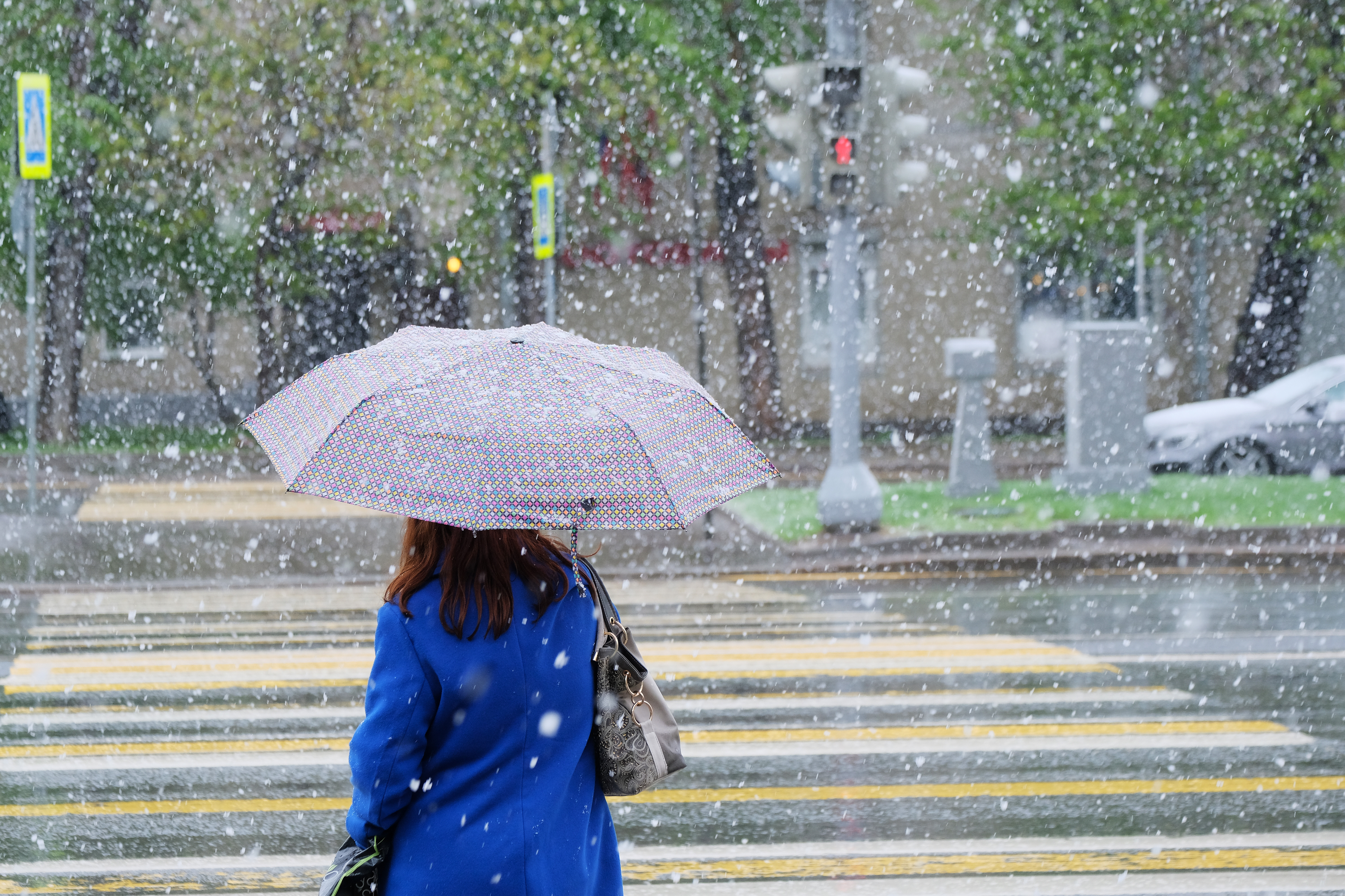 Холодное лето в москве. Весенний дождь. Дождь со снегом в Москве. Холодное дождливое лето. Похолодание летом.