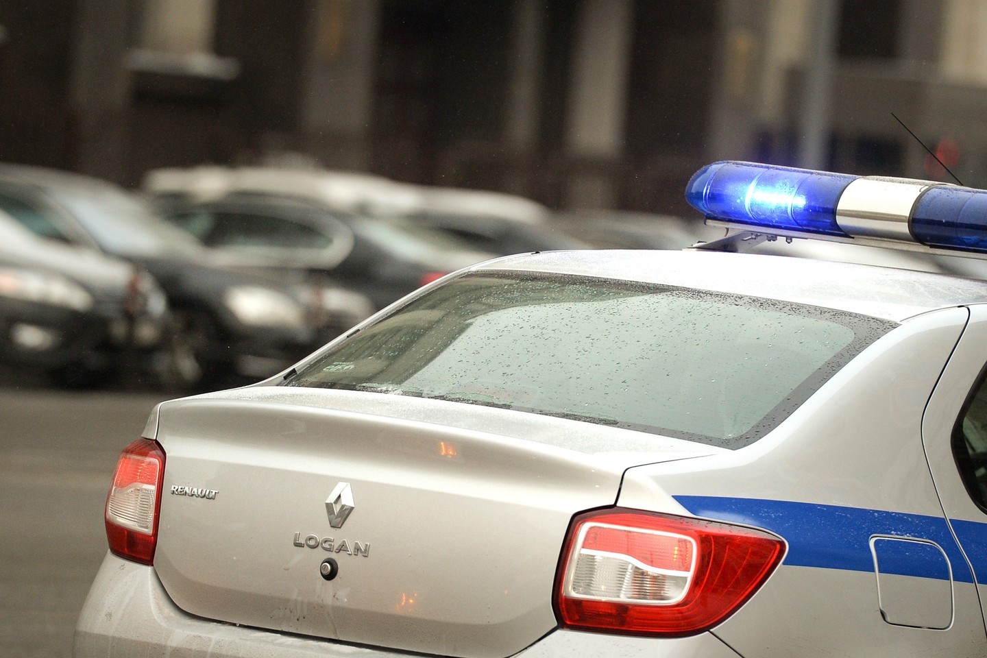 Полицейский автомобиль. Фото:&copy; РИА Новости/Евгений Одиноков