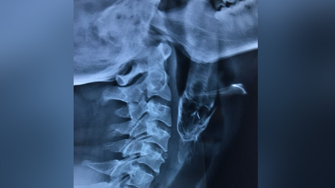 Фото: Daily Mail