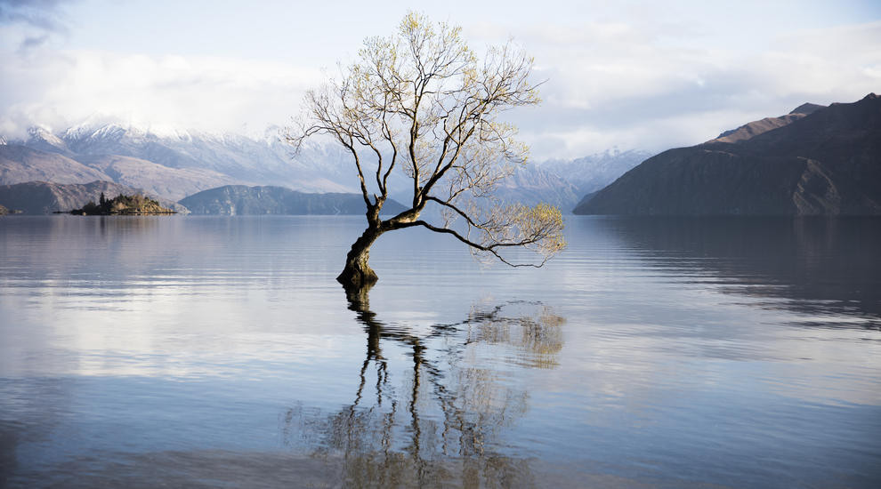 Озеро Уанака на Южном острове Новой Зеландии. Фото:&nbsp;newzealand.com