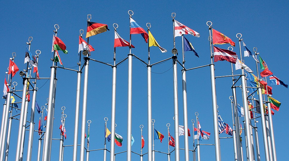 ВТО. Конвенция международной организации. Флаги стран на конференции. ВТО флаг. Венская конвенция россия