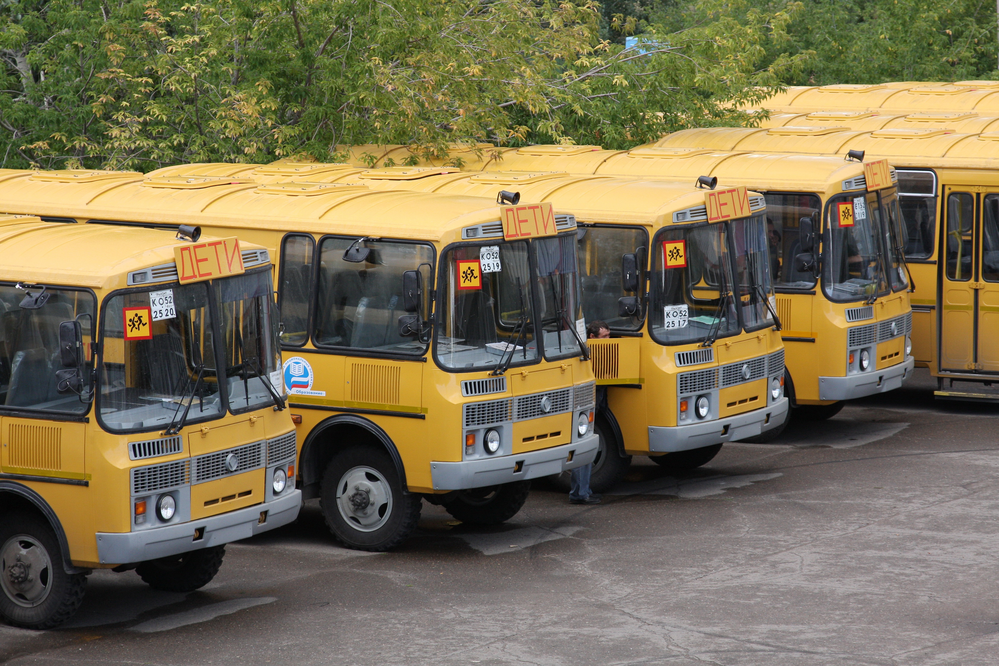 Желтые автобусы дети. Школьный автобус. Школьные автобусы в России. Российский школьный автобус. Автобус для перевозки детей.