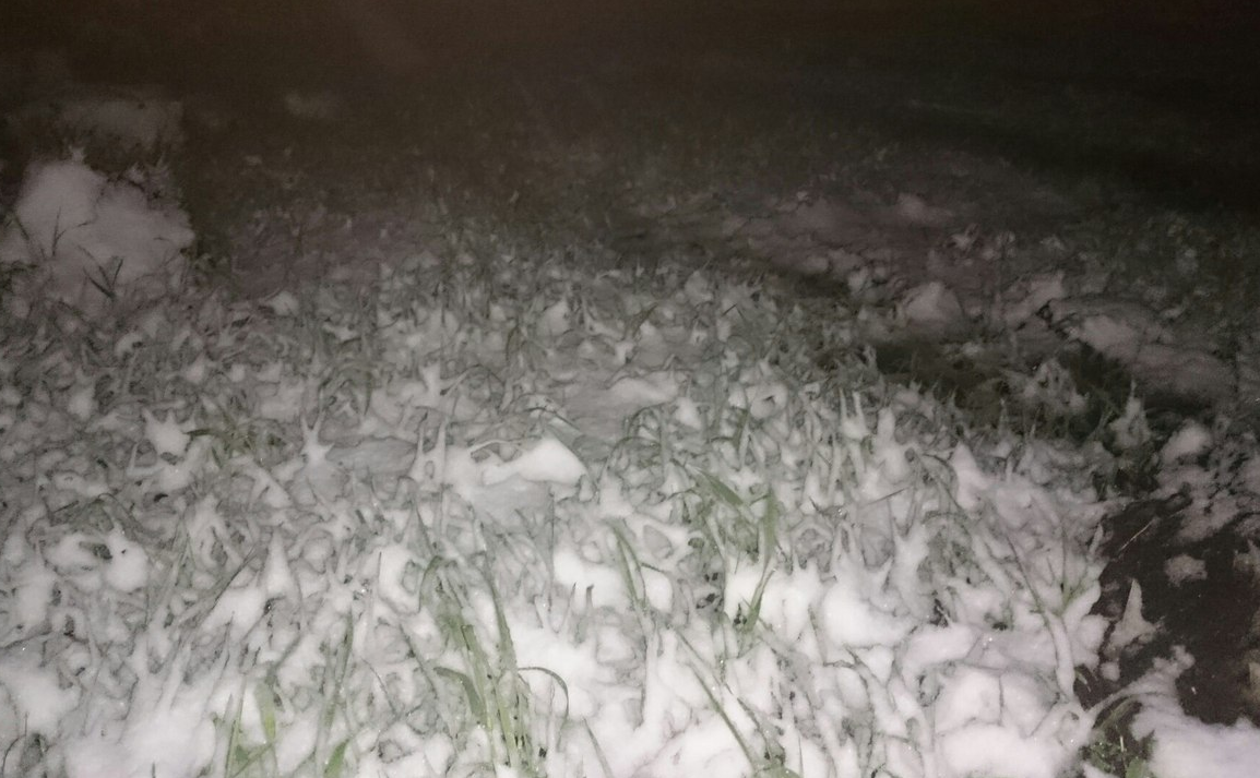 Снег в Самарской области. Снег и град на Самару. В Самаре выпал снег. Завтра снег обещали снег и град. Ночью выпал снег подчеркнуть