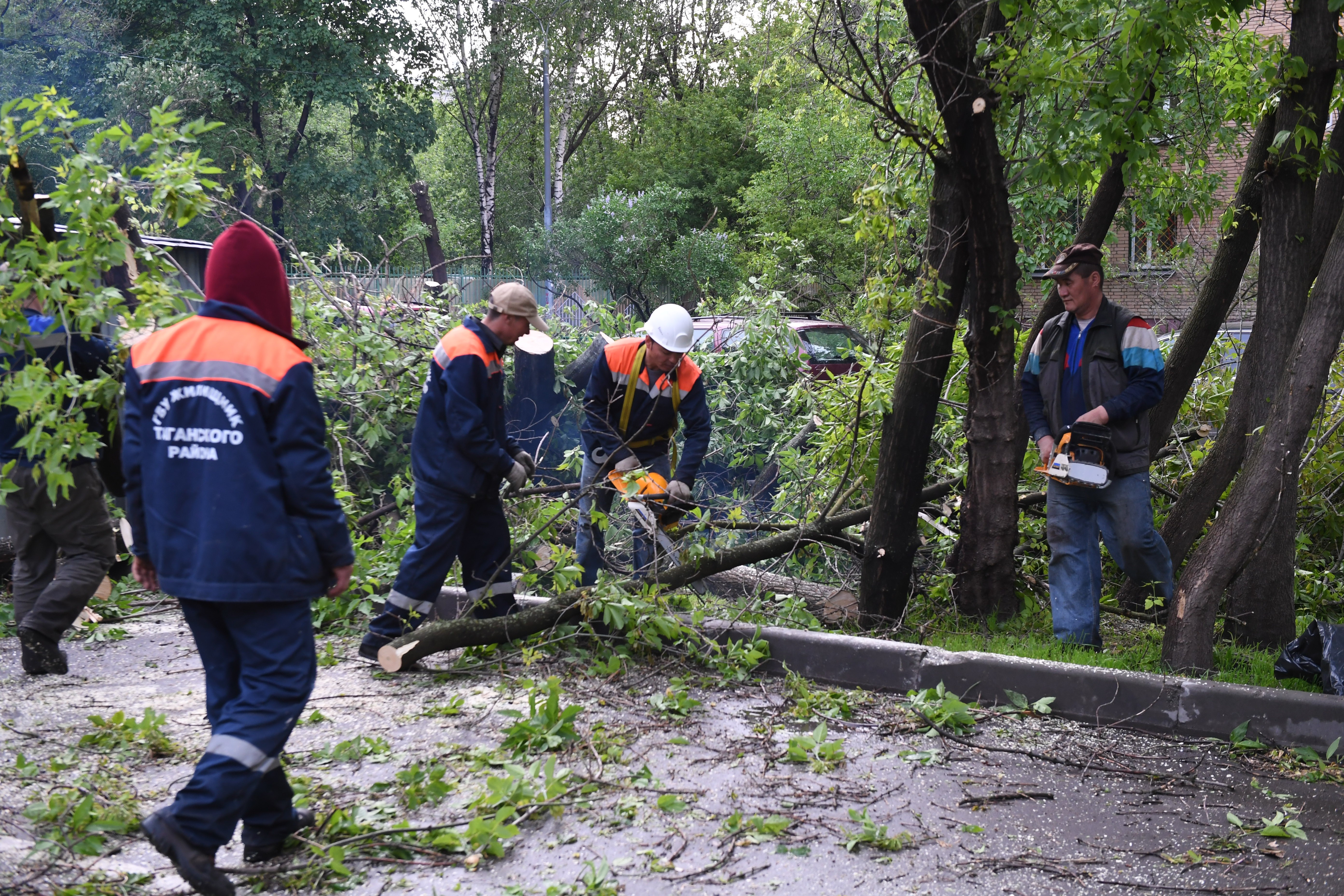 Работники коммунальных служб устраняют последствия погодной стихии. Фото: &copy; РИА Новости/Илья Питалев
