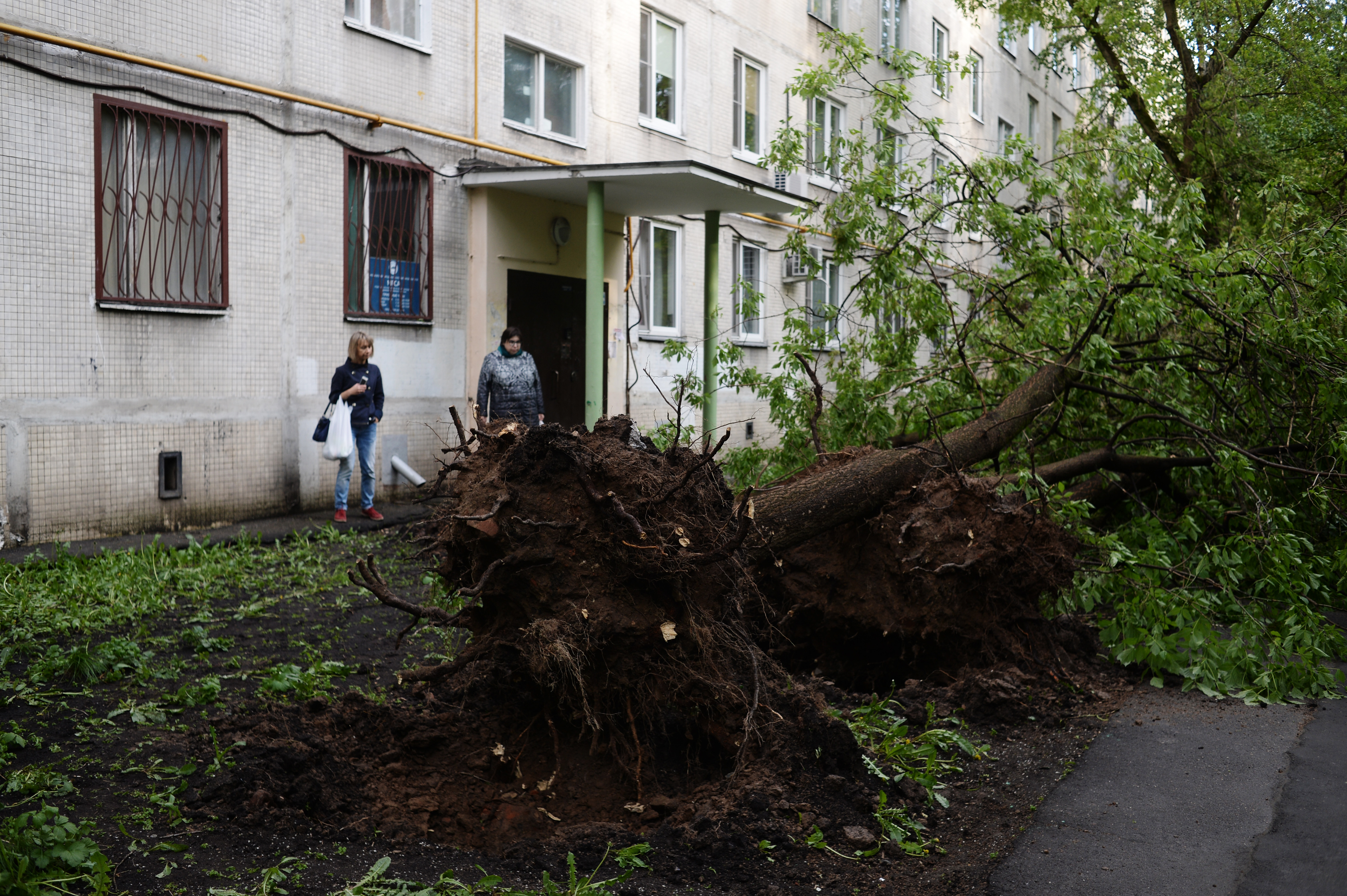 Последствия урагана в Москве 29.05.2017. Фото:&copy; РИА Новости/Валерий Мельников