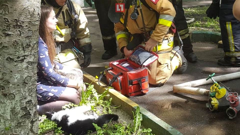 В Москве спасатели реанимировали двух кошек и двух собак, которые чуть не погибли в пожаре. Фото:&copy; L!FE