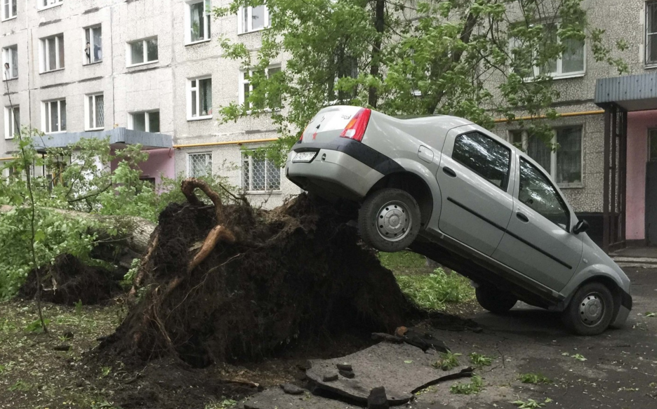 Последствия урагана в Москве.&nbsp;Фото: &copy; REUTERS/Alexander Panchenko
