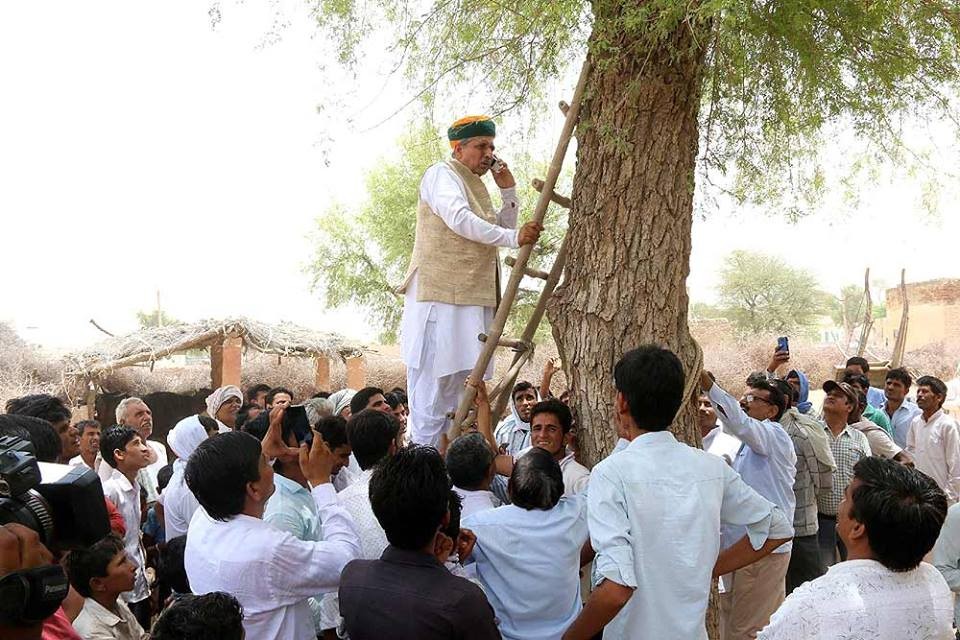 Сотрудник министерства финансов Индии на дереве. Фото: Twitter/@meheren