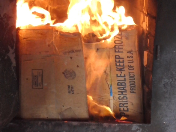 В Белгородской области сожгли красную икру, которую с нарушением санитарных норм везли на Украину. Фото: Россельхознадзор