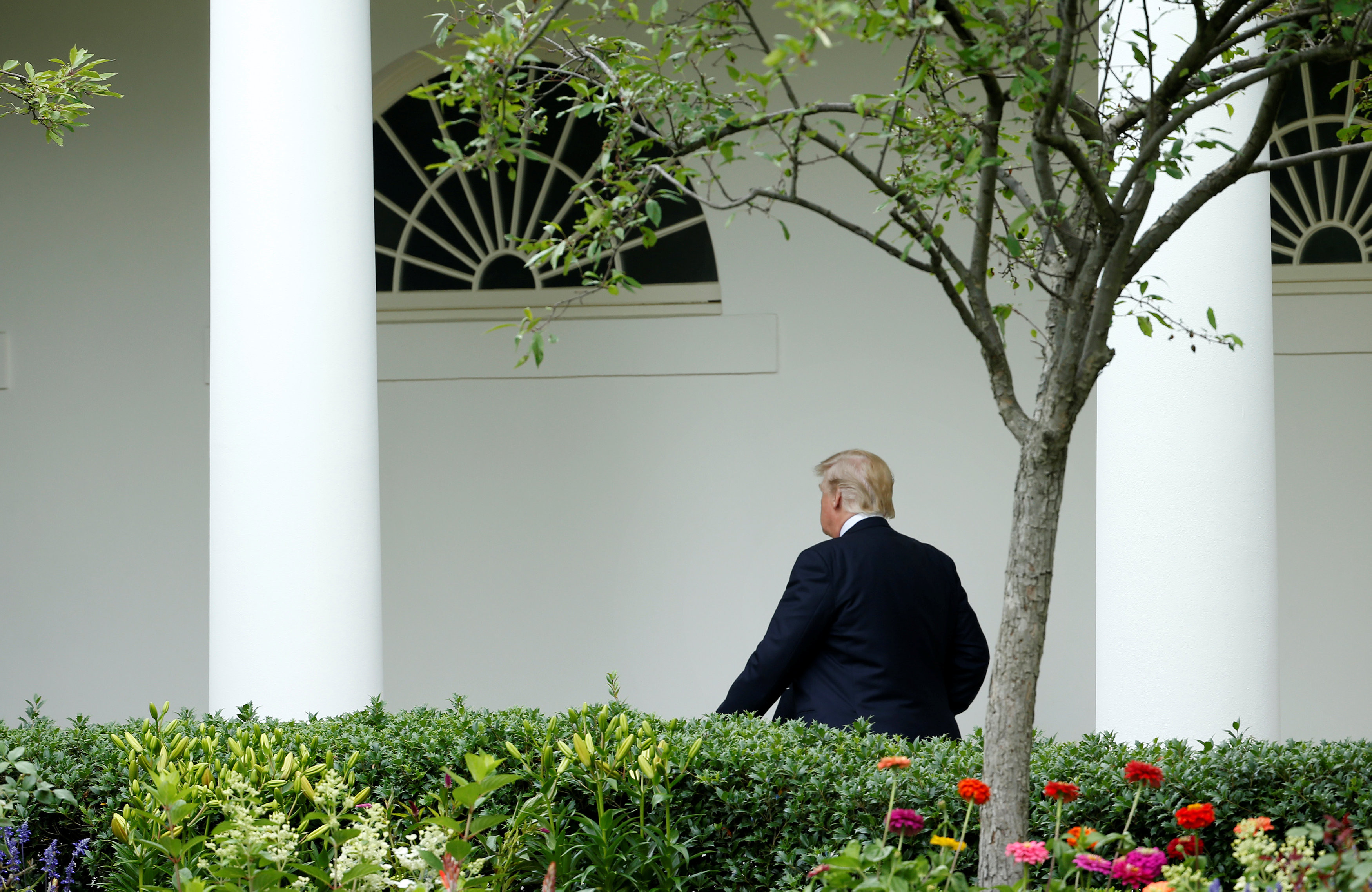 Дональд Трамп в Белом доме. Фото: &copy;&nbsp;REUTERS/Joshua Roberts