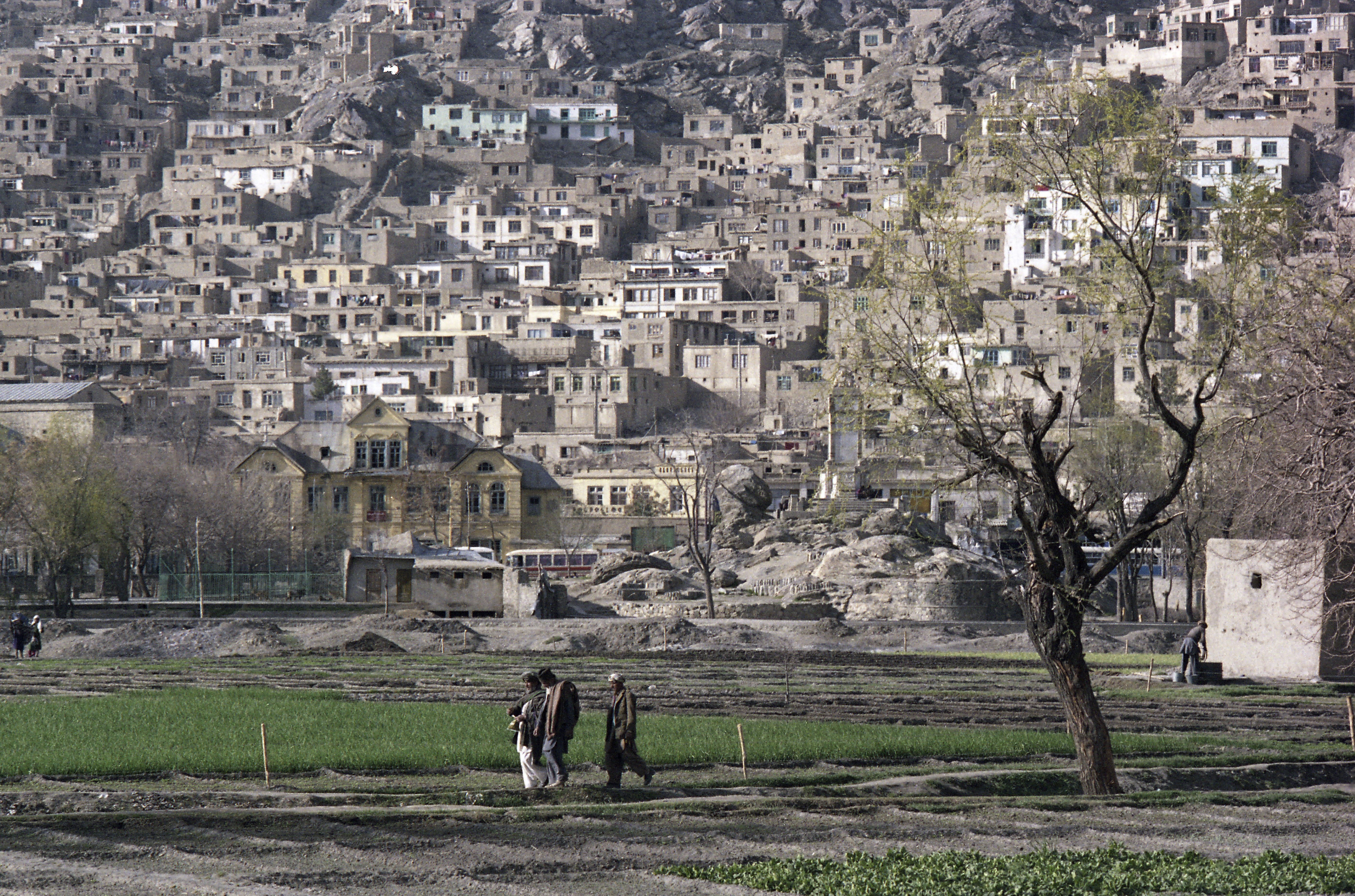 Кабул. Фото: &copy; РИА Новости/В. Киселев