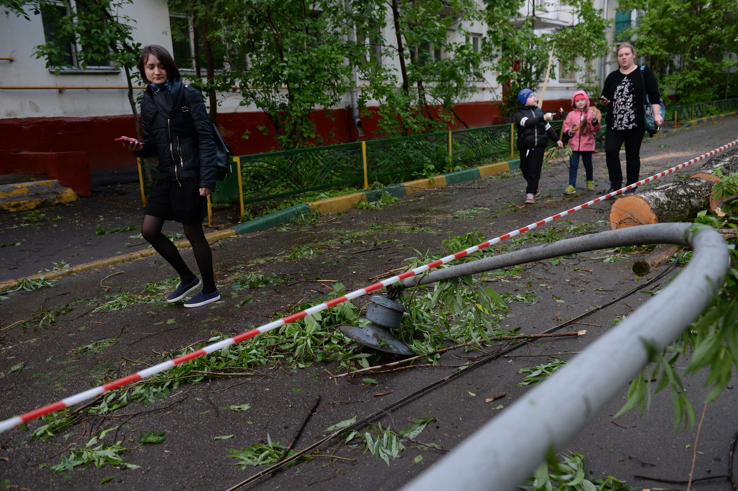 Последствия урагана, пронёсшегося 29 мая в Москве. Фото:&copy; РИА Новости/Евгений Одиноков