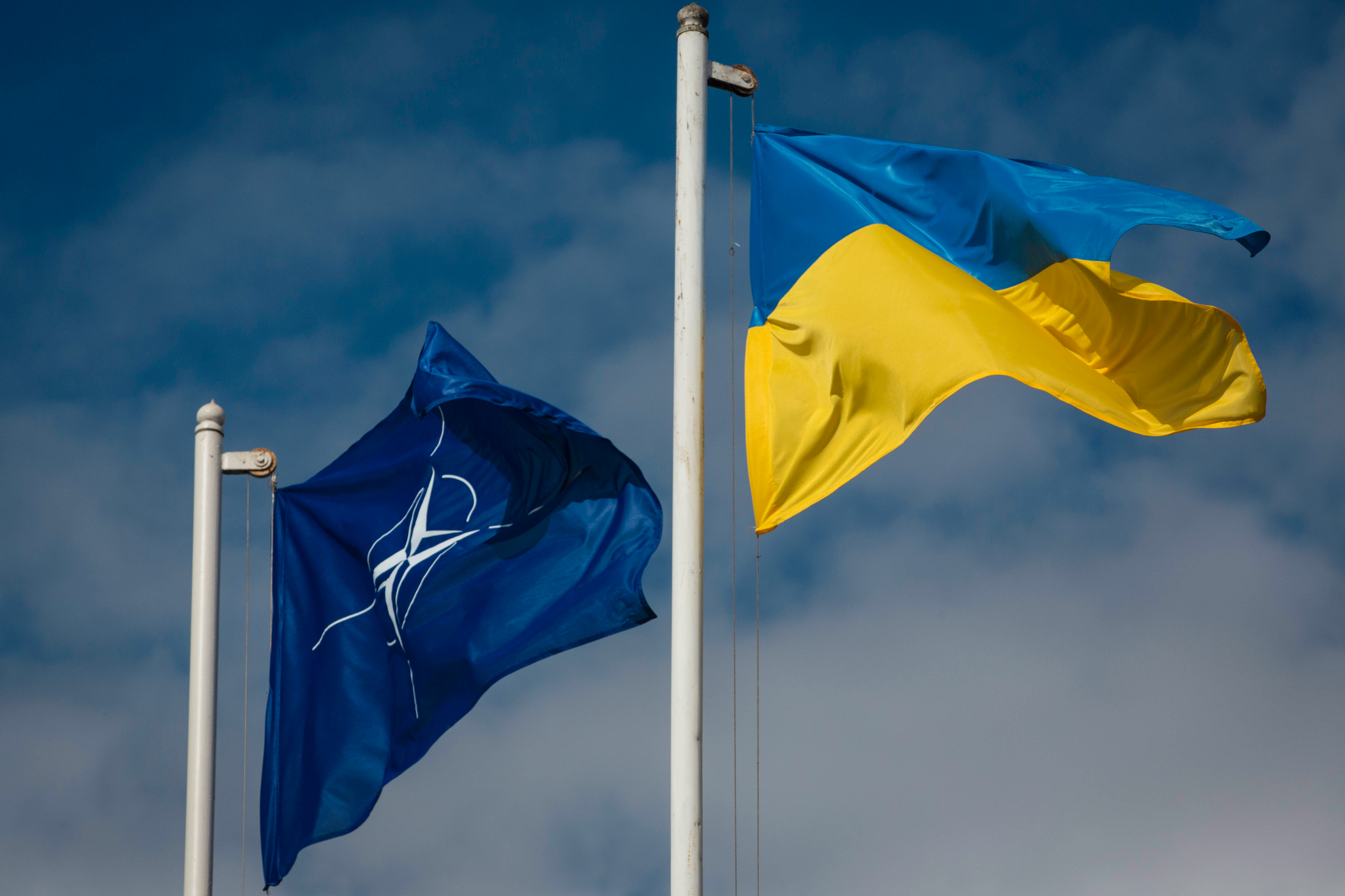 Павел Климкин предложил НАТО поучиться у Украины выносливости. Фото:&copy; РИА Новости/Михаил Маркив