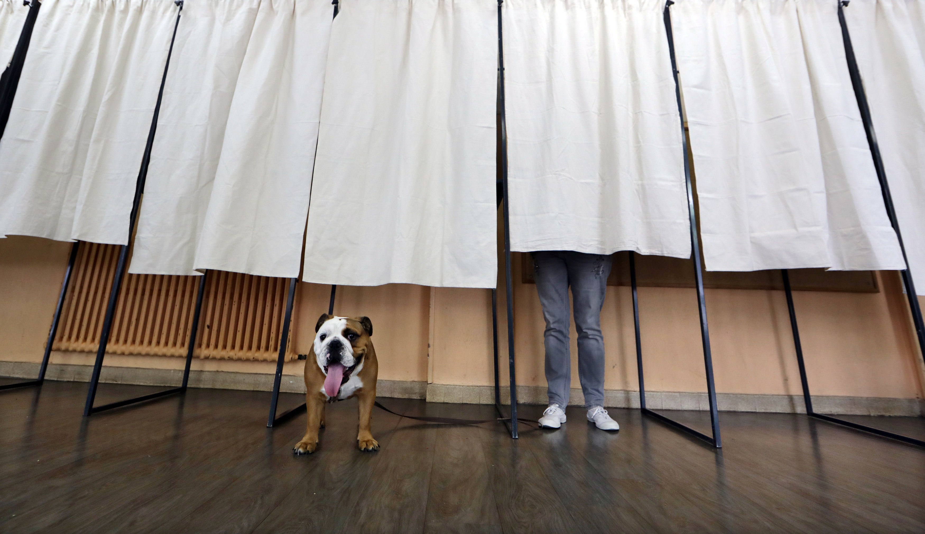 Парламентские выборы во Франции.Фото: &copy;REUTERS/Eric Gaillard