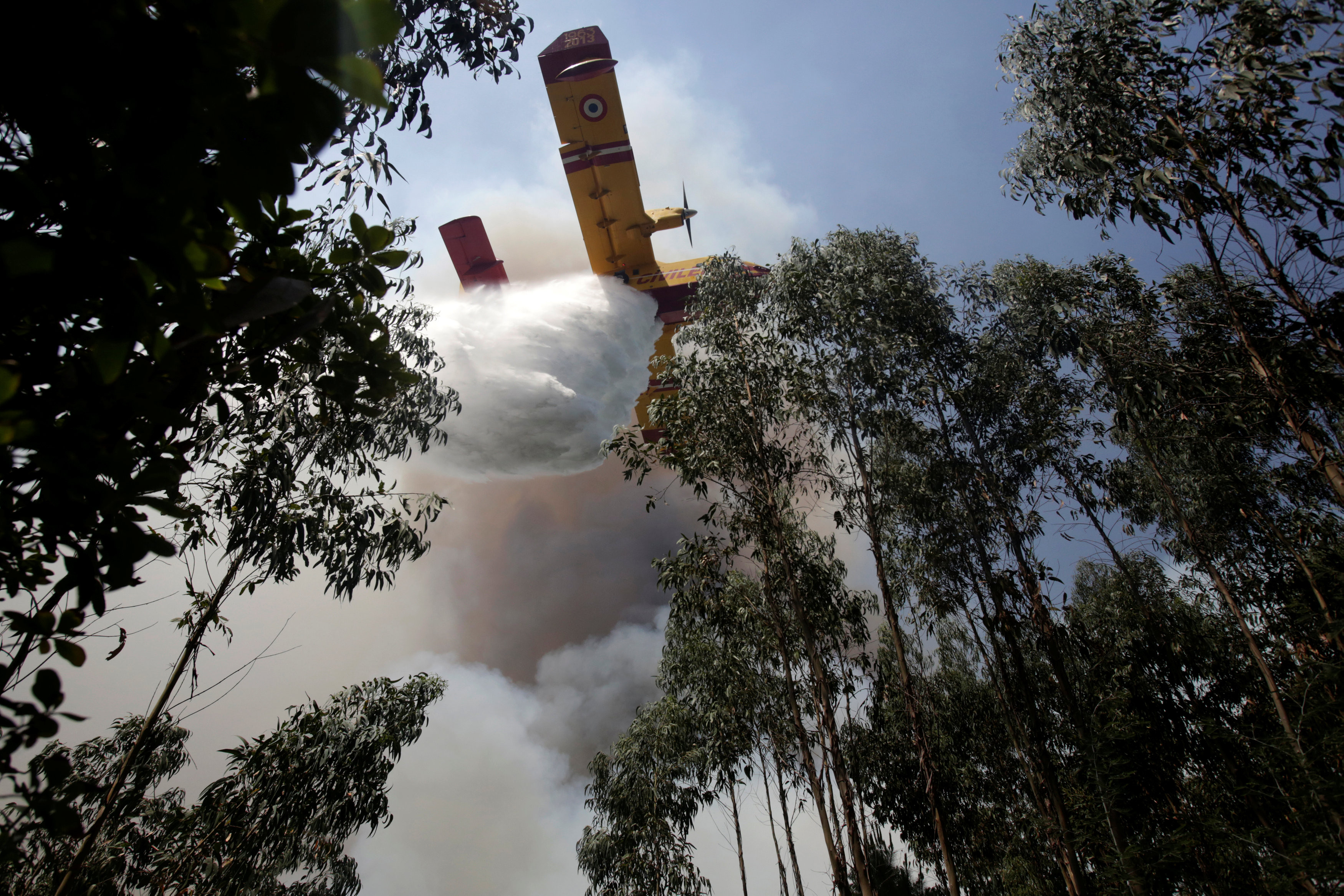 Самолёт сбрасывает воду на горящий лес в Португалии. Фото: &copy; REUTERS/Miguel Vidal