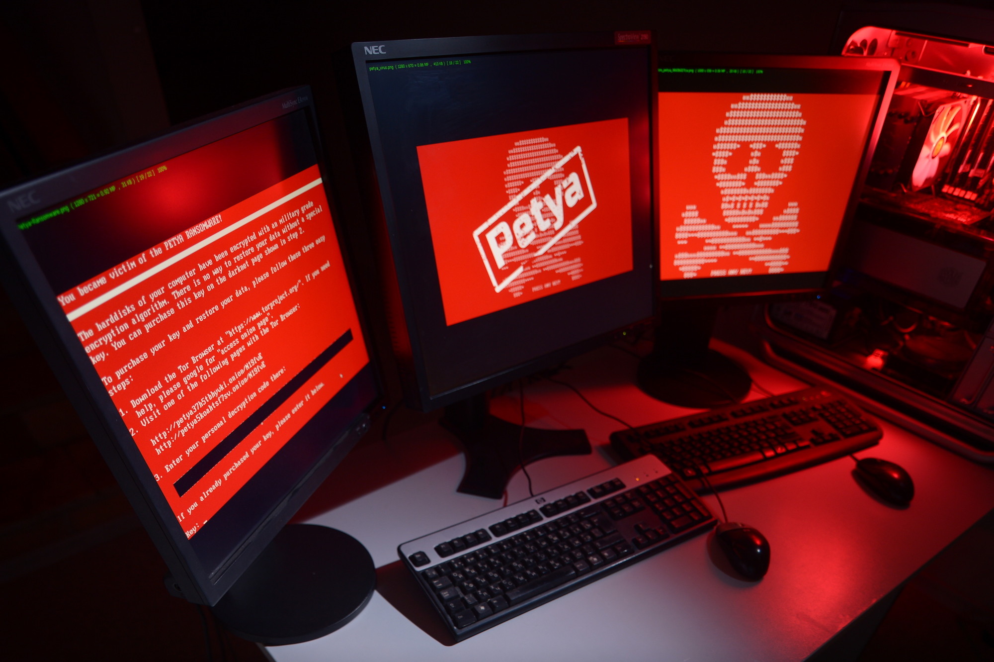 Поражённый вирусом-вымогателем компьютер. Фото: &copy; РИА Новости/Владимир Трефилов