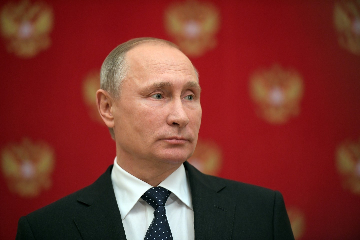 Владимир Путин. Фото: &copy; РИА Новости/Александр Дружинин





