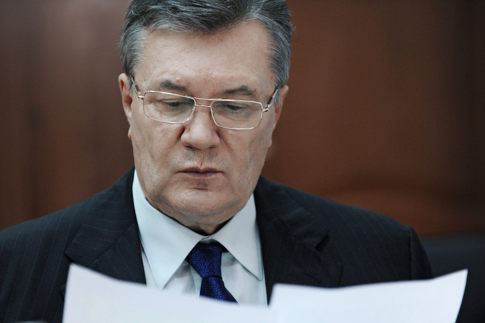 Виктор Янукович. Фото: &copy; РИА Новости/Сергей Пивоваров