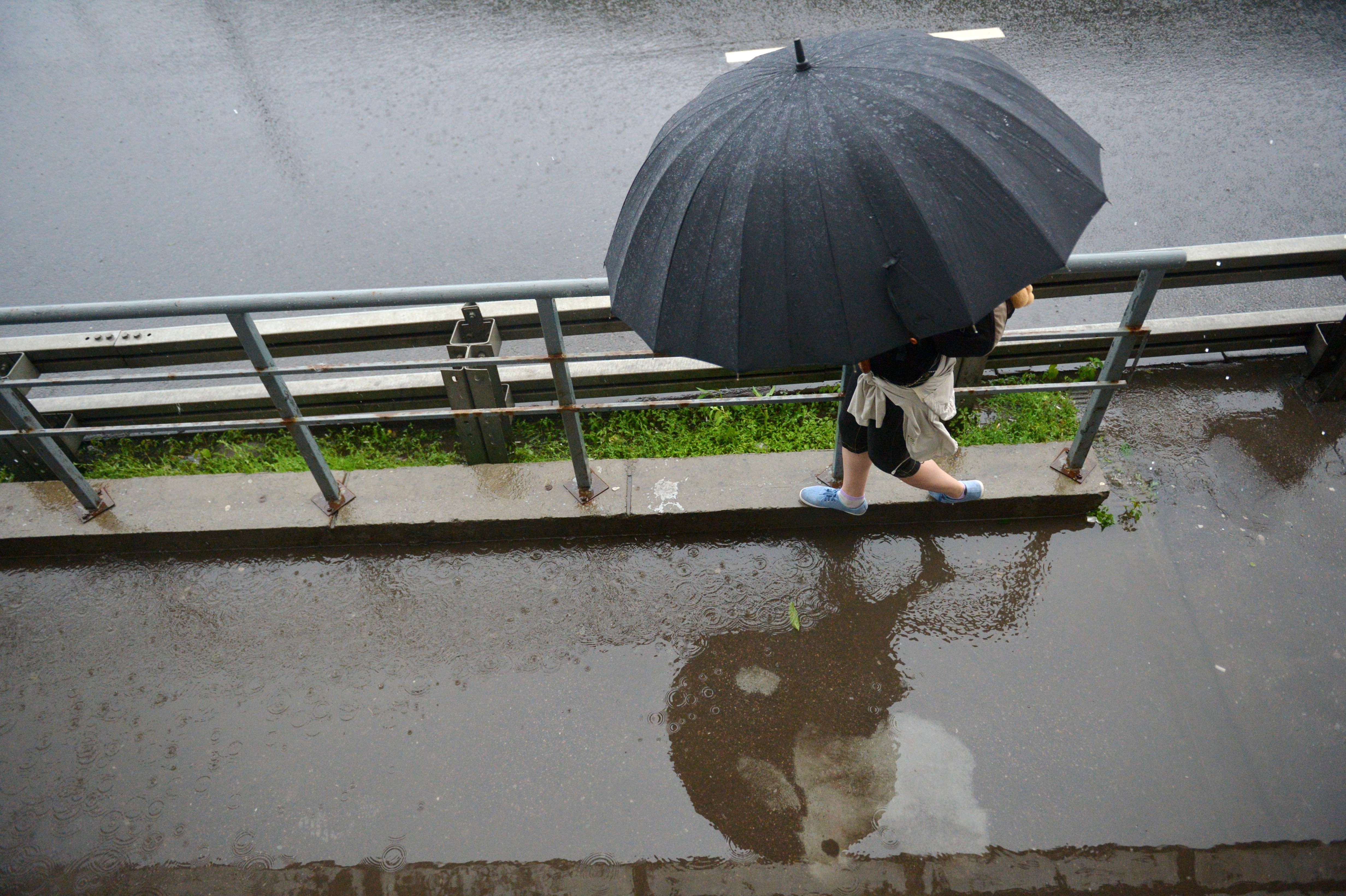 Во время дождя в Москве. Фото: &copy; РИА Новости/Евгений Одиноков