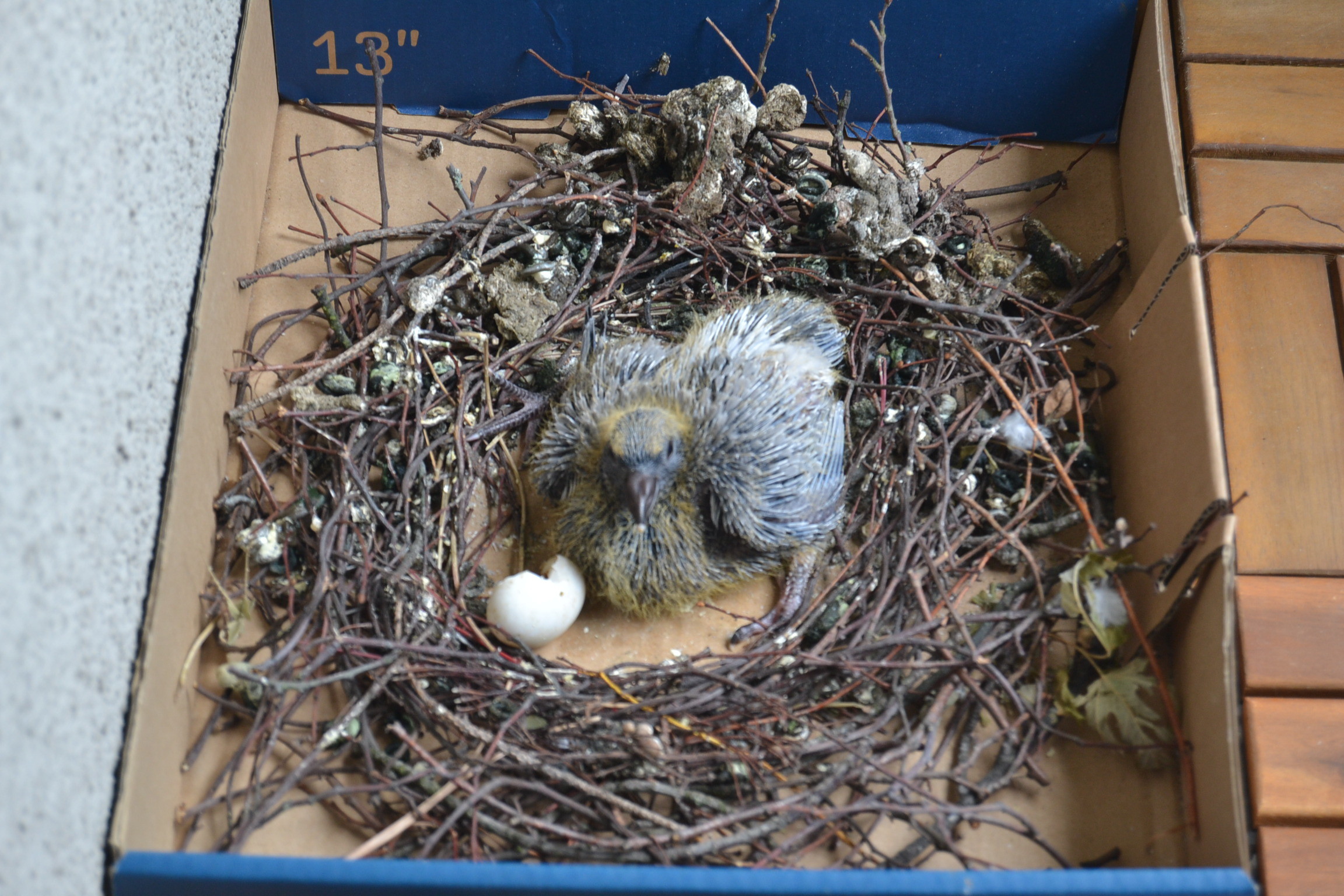 Фото © d3.ru/degressor