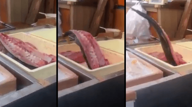 Покупателей напугал разделанный пополам тунец, который отказался умирать (видео)