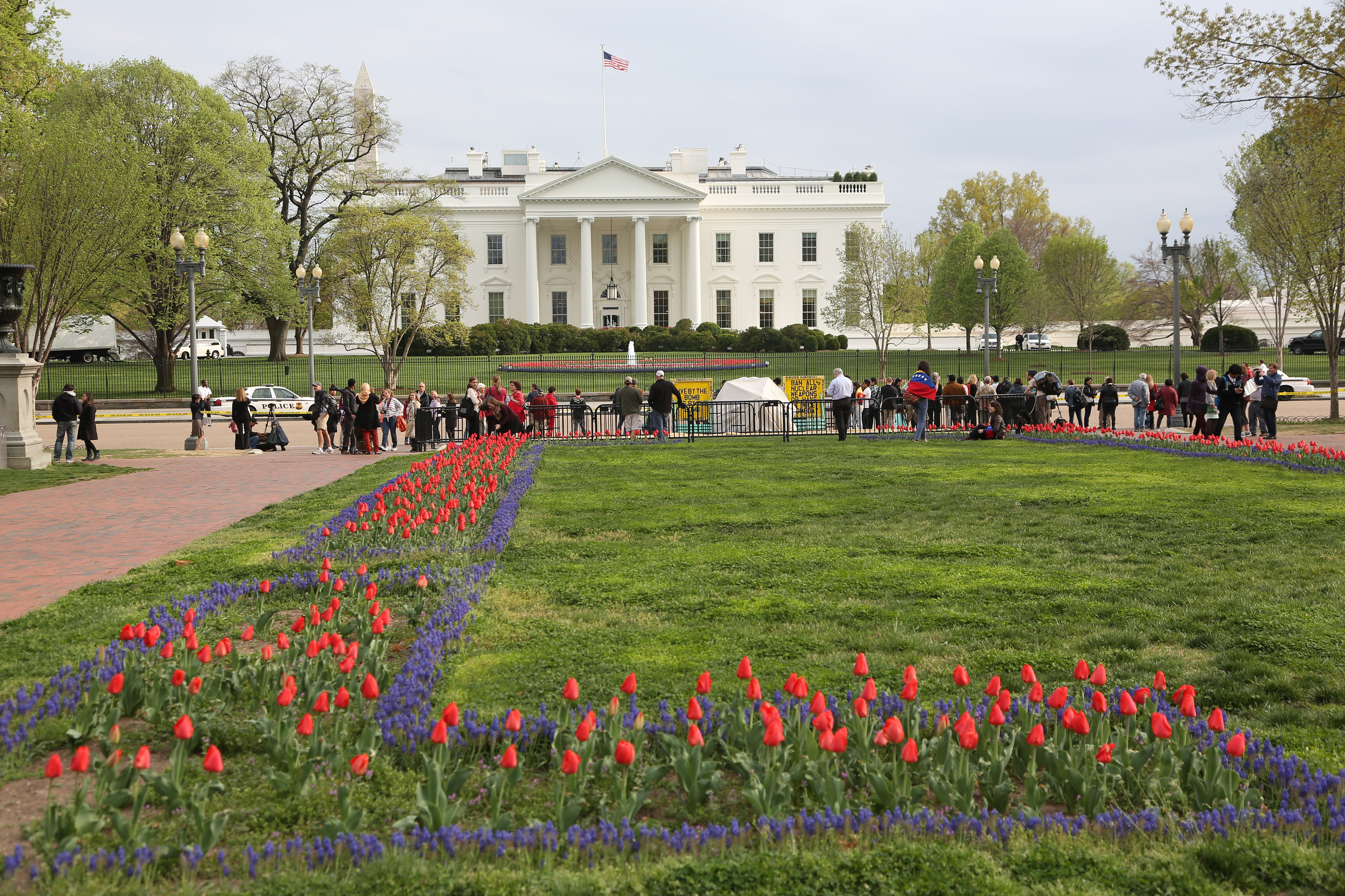 Вид на здание Белого дома в Вашингтоне. Фото: &copy; РИА Новости/Екатерина Чеснокова