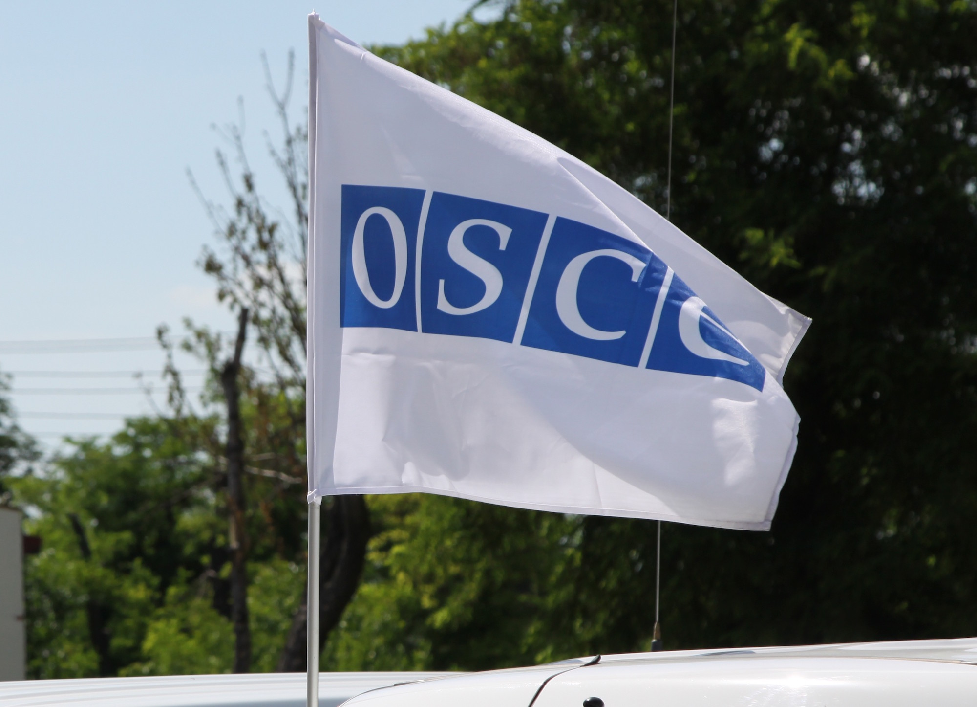Флаг на автомобиле кортежа&nbsp;ОБСЕ. Фото: &copy; РИА Новости/Сергей Аверин