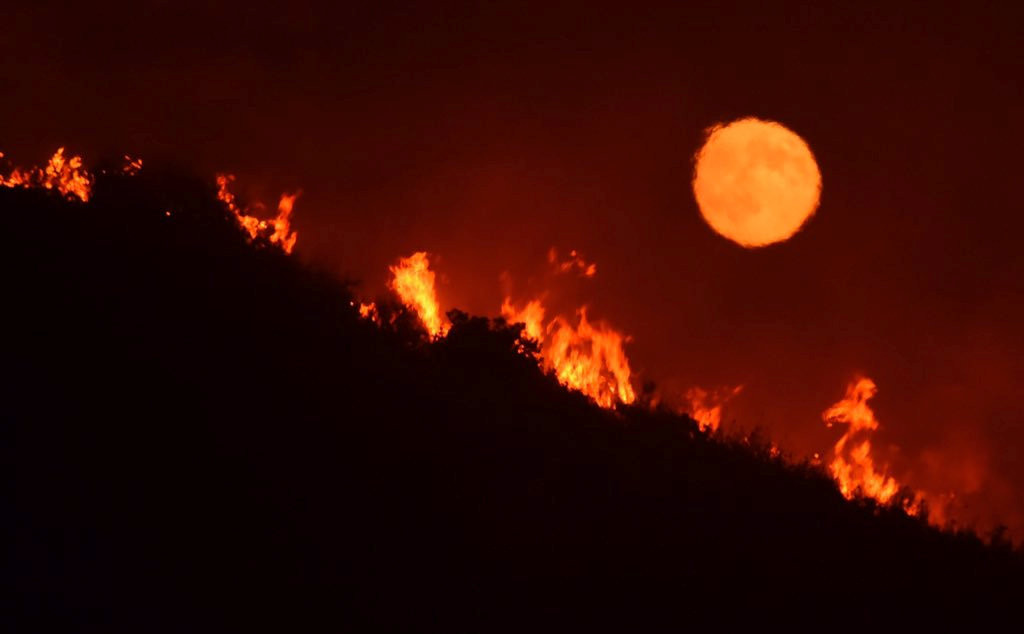 Лесной пожар в полнолуние. Фото: &copy; REUTERS/Mike Eliason/Santa Barbara County Fire Dept