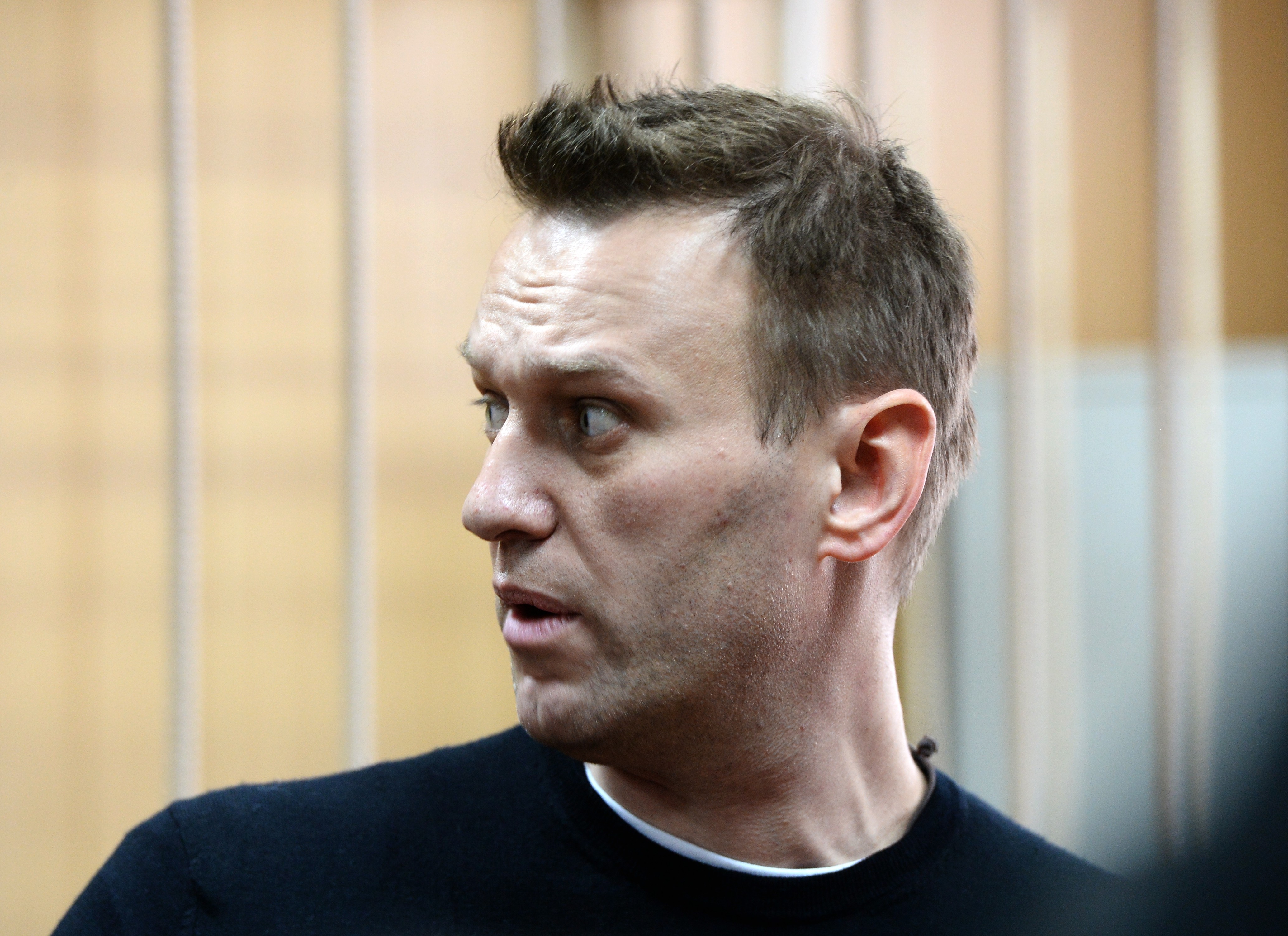 Алексей Навальный. Фото: &copy;РИА Новости/Евгений Одиноков