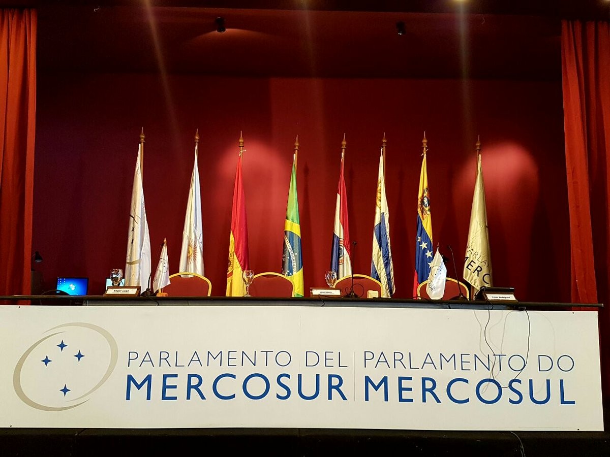 Флаги стран-участниц саммита Меркосур. Фото: Twitter/@PARLASUR