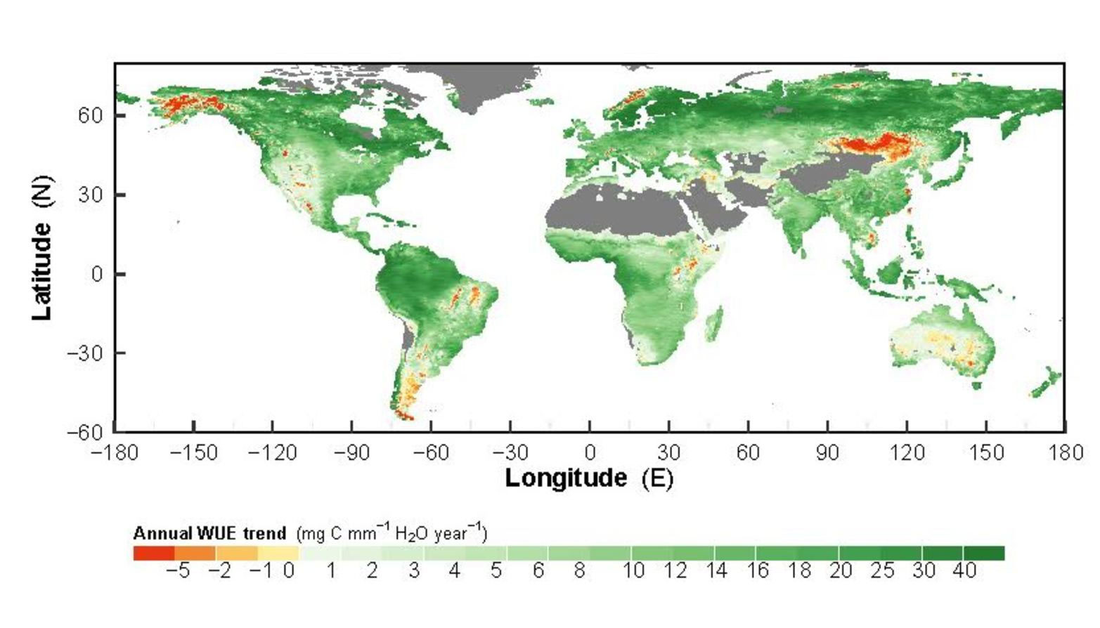 Зелёный цвет показывает, где растения больше всего увеличили эффективность расходования воды; в России этот процесс идёт особенно активно. Фото: предоставлено автором. theconversation.com