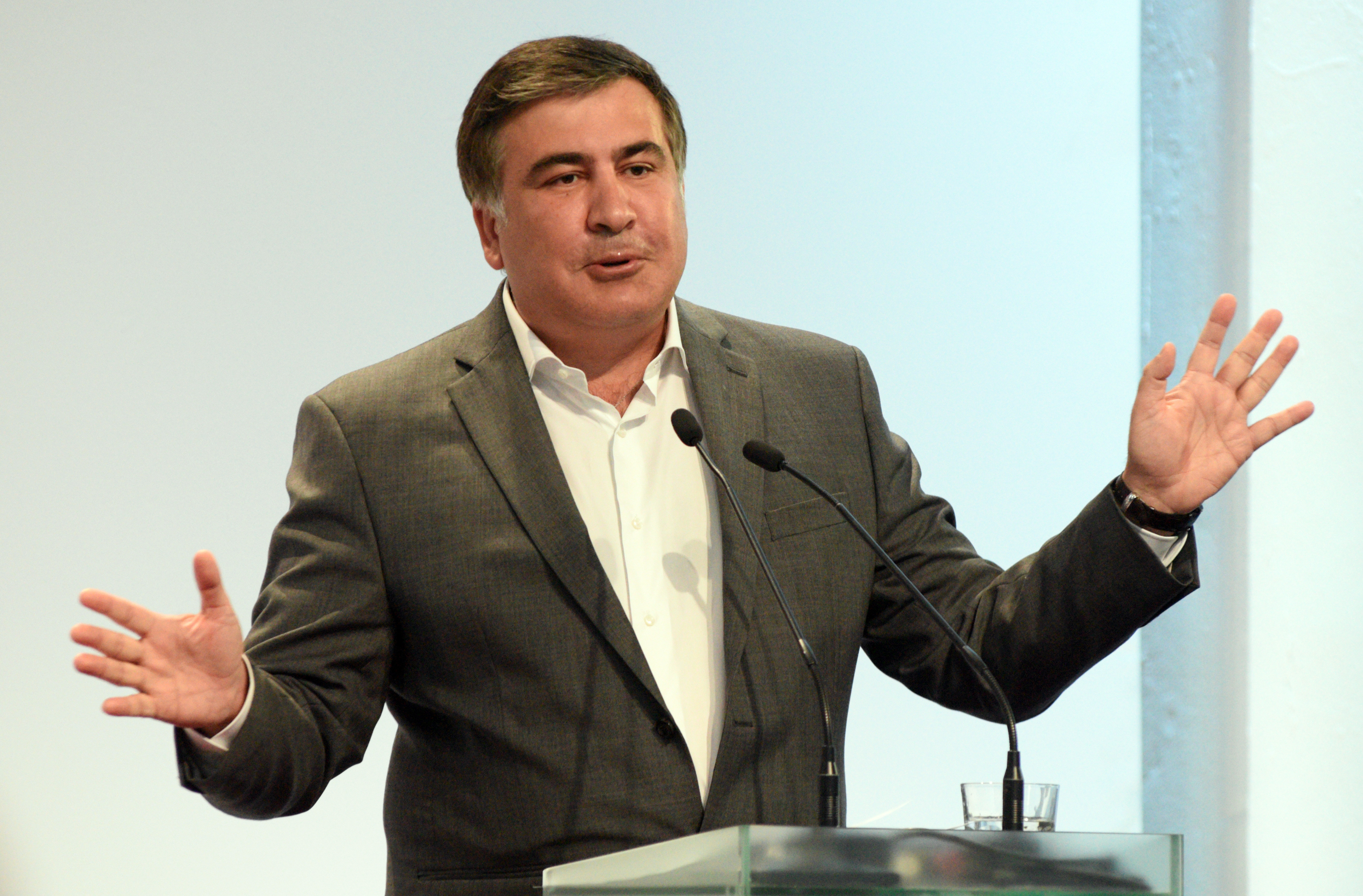 Михаил Саакашвили. Фото:&copy; РИА Новости