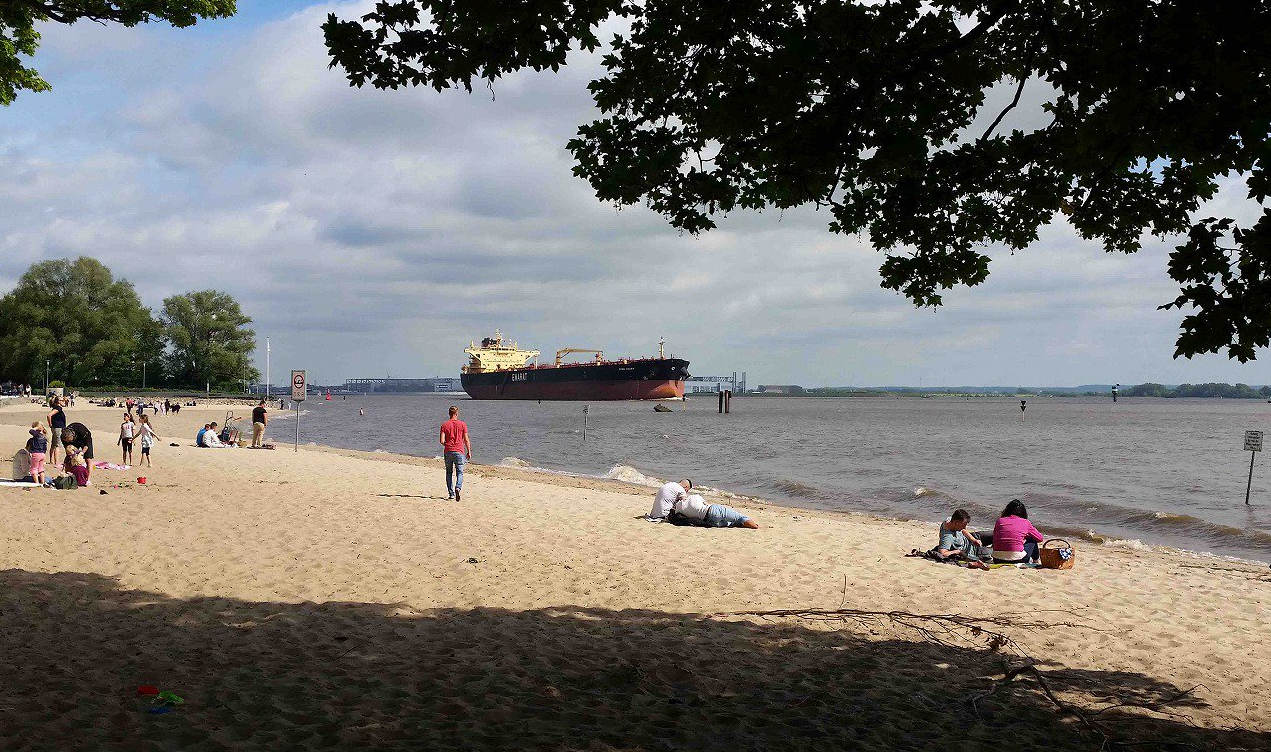 Пляж на берегу Эльбы в Гамбурге. Фото: &copy; &nbsp;Twitter/Birgit