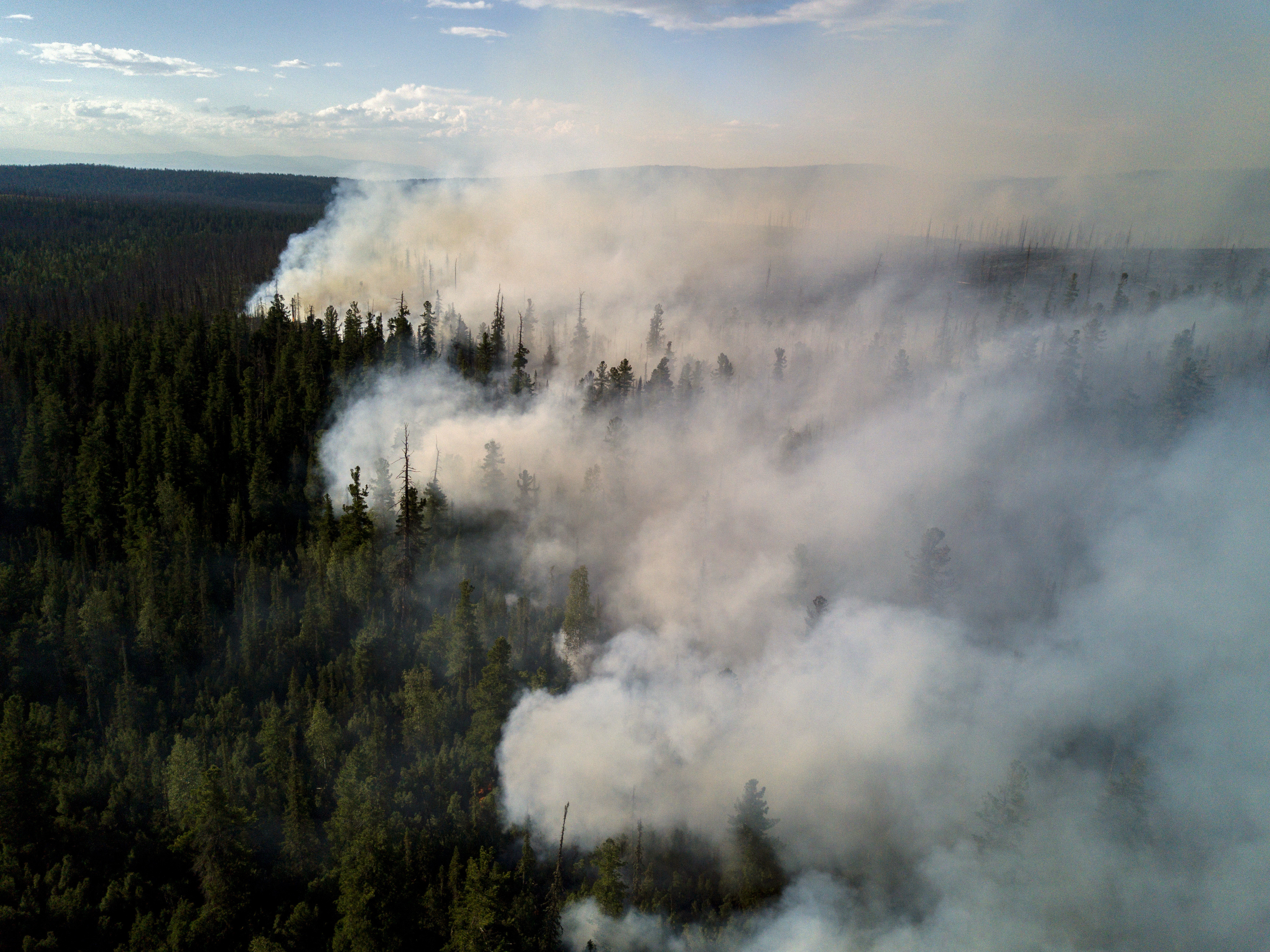 Лесные пожары в Бурятии. Фото: &copy; РИА Новости/Валерий Мельников