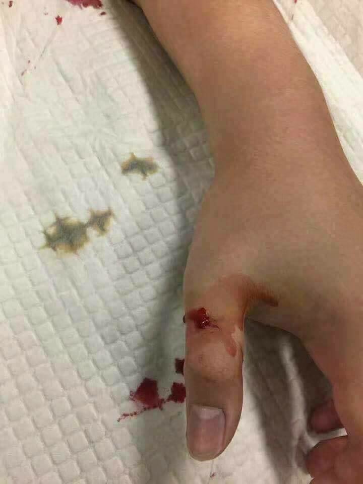 Фото © Facebook / Faculty of Veterinary Medicine