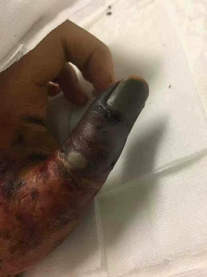 Фото © Facebook / Faculty of Veterinary Medicine