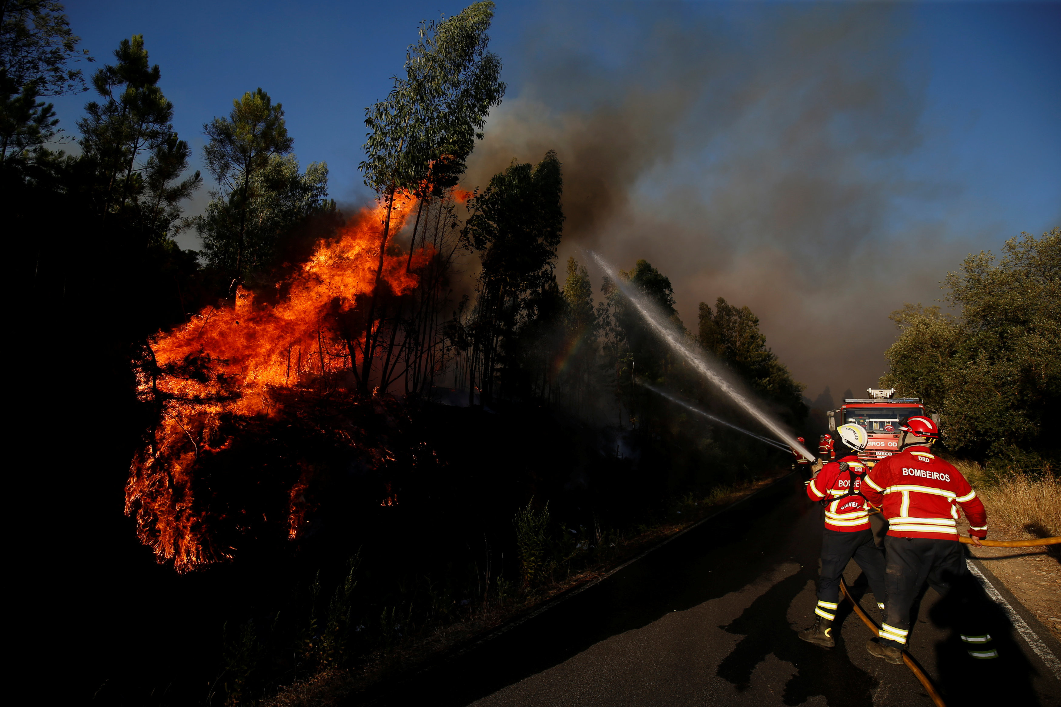 Пожарные борются с огнём в Португалии. Фото: &copy; REUTERS/Rafael Marchante
