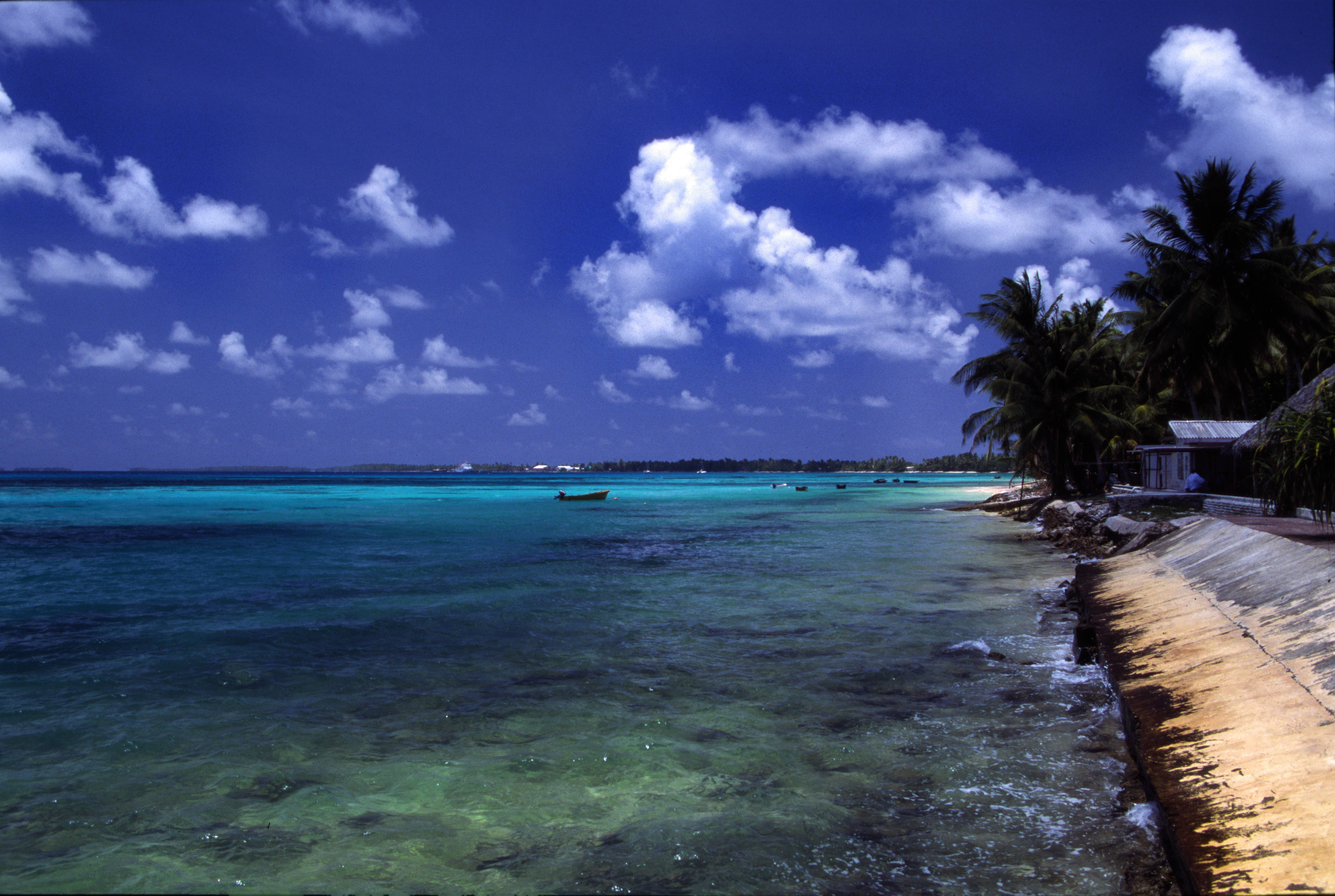 Пляж Тувалу. Фото: &copy;Flickr/Stefan Lins