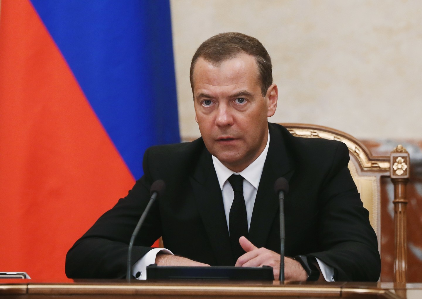 Дмитрий Медведев. Фото: &copy; РИА Новости/Екатерина Штукина