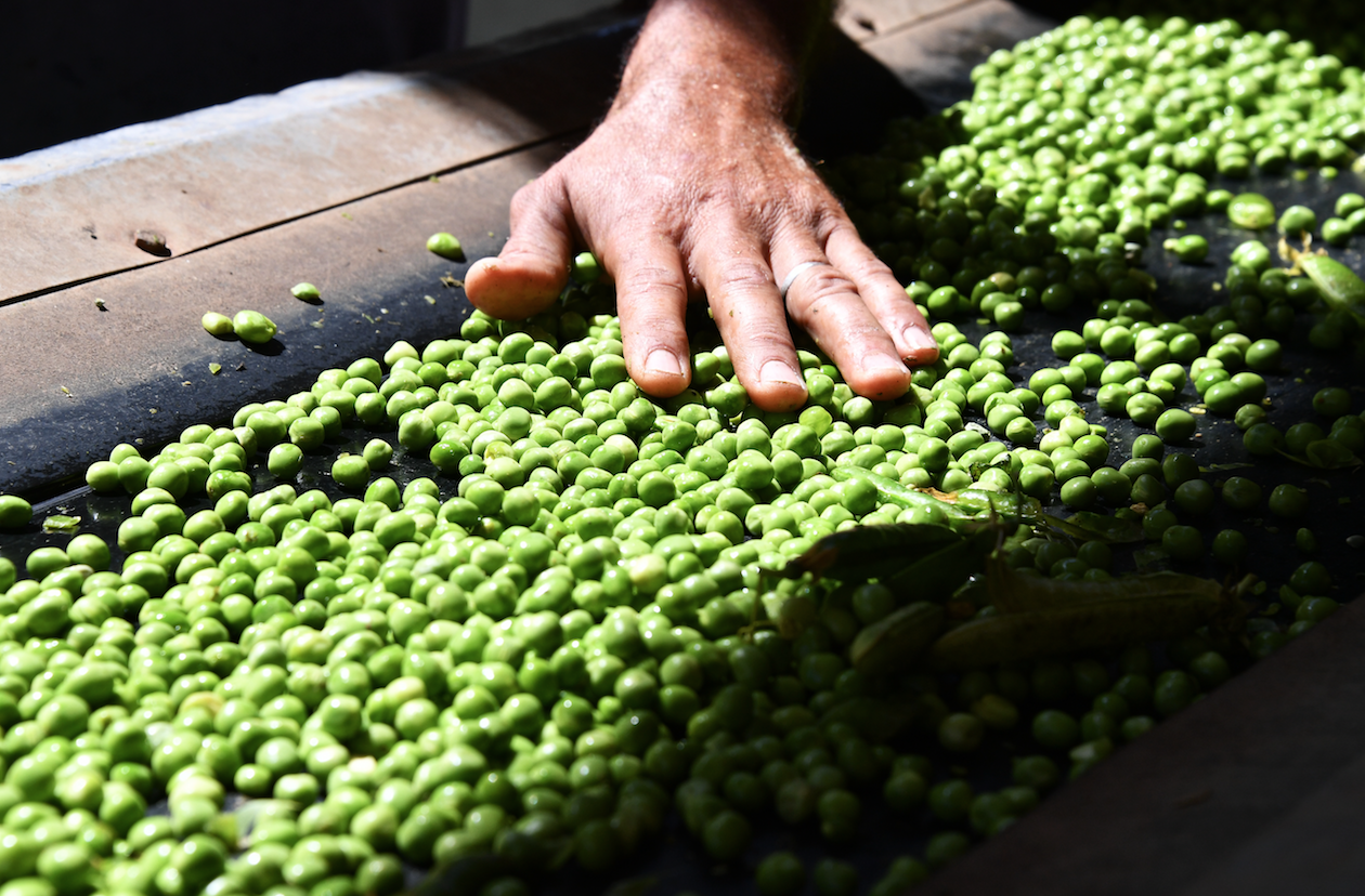 Фото: © РИА Новости/Михаил Воскресенский