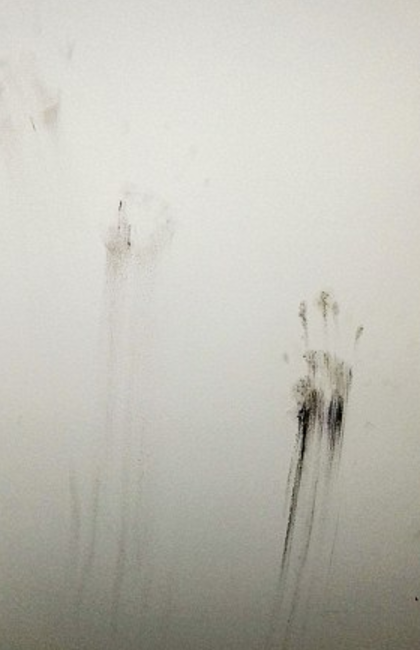 Отпечатки ладоней, которые обнаружила Джоанн на стене в комнате дочери Фото: Facebook
