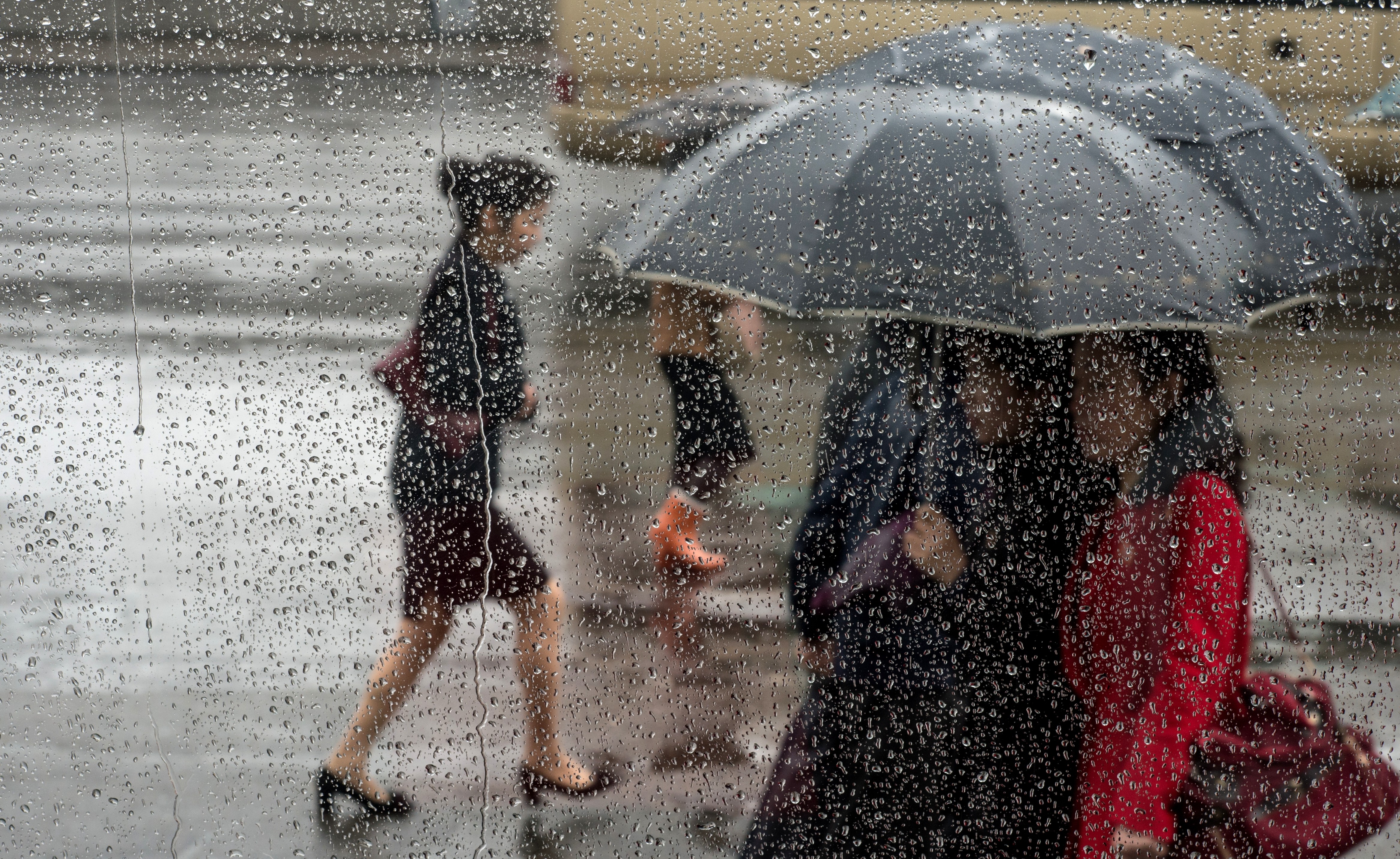 Дождь. Фото &copy; РИА Новости/Илья Питалев
