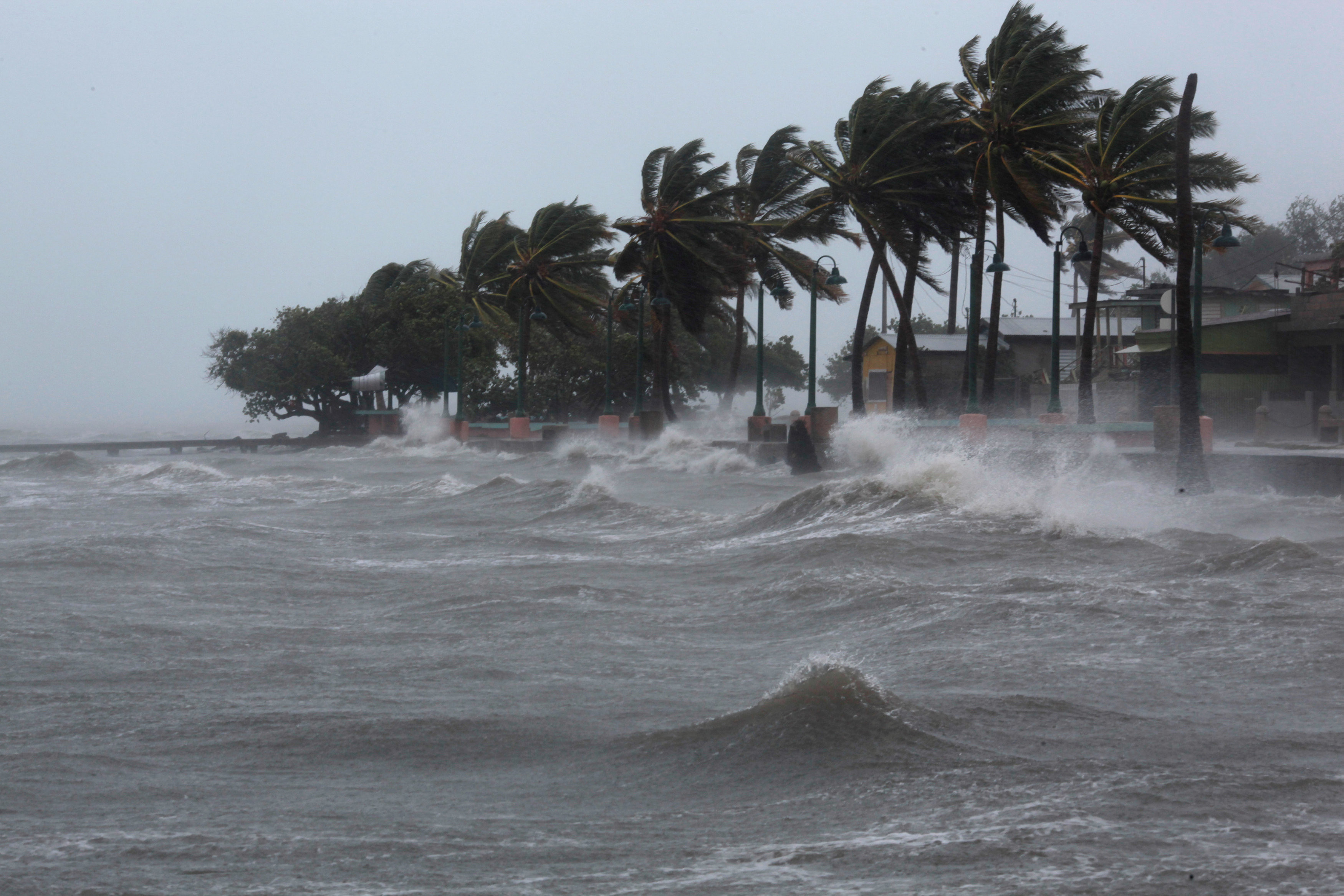 Ураган на побережье. Фото &copy; REUTERS/Alvin Baez