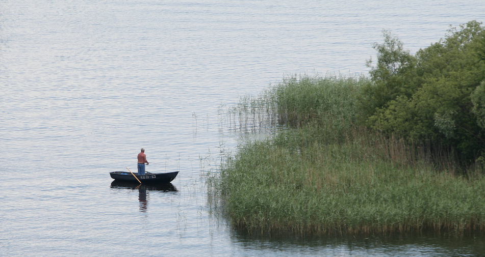 Озеро Селигер.&nbsp;
Фото: &copy;РИА Новости/Илья Питалев