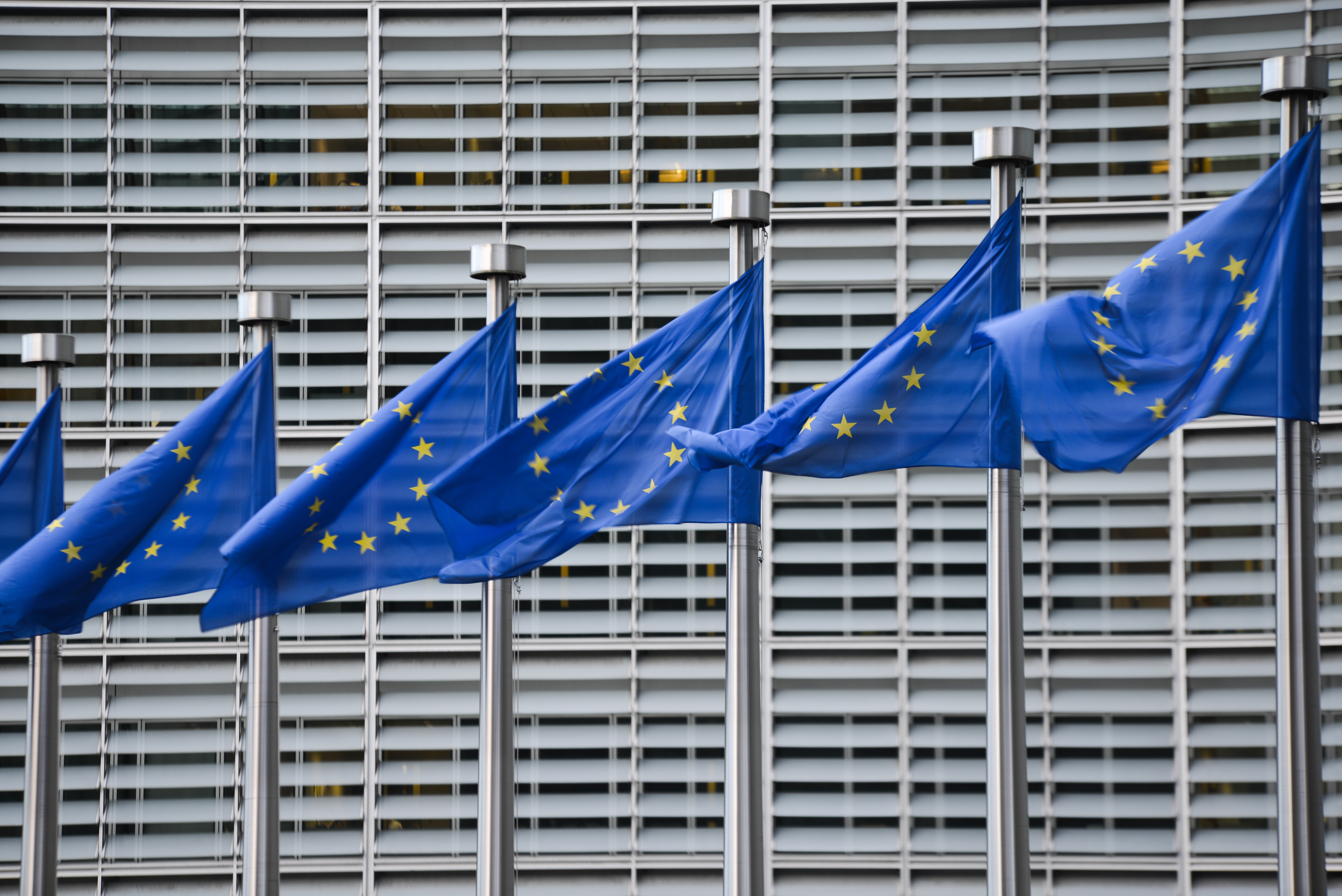 Флаги Евросоюза. Фото: &copy; РИА Новости/Алексей Витвицкий