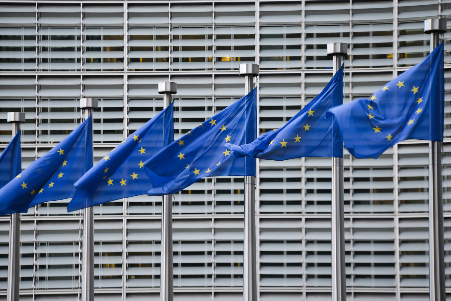 Флаги Евросоюза. Фото: &copy; РИА Новости/Алексей Витвицкий


