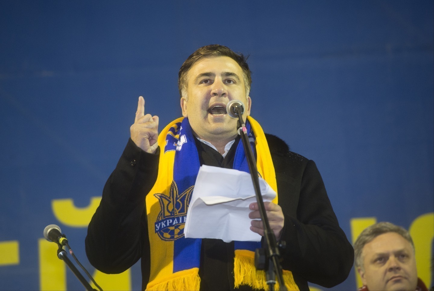 Михаил Саакашвили. Фото: &copy; РИА Новости/Илья Питалёв