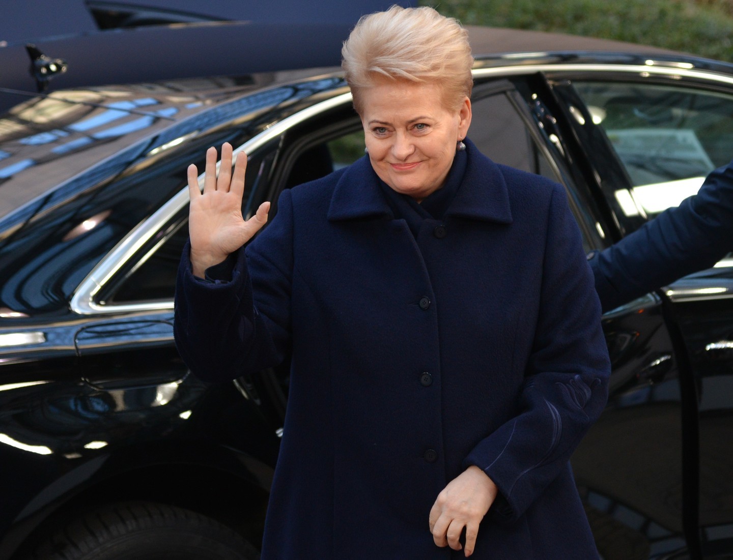 Президент Литвы Даля Грибайскайте. Фото: &copy;РИА Новости/Алексей Витвицкий