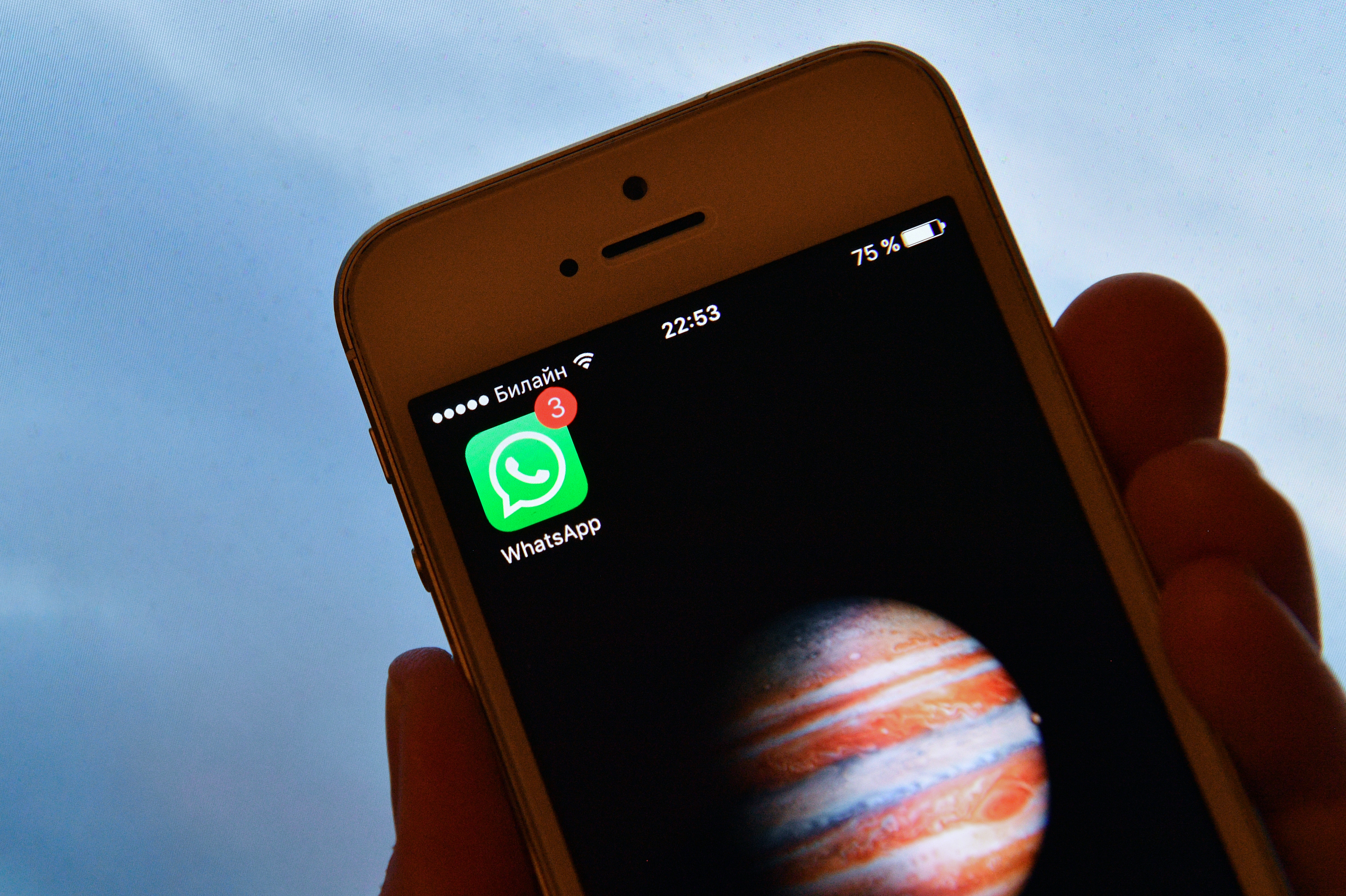 Иконка WhatsApp на экране телефона. Фото: &copy; РИА Новости/Наталья Селиверстова