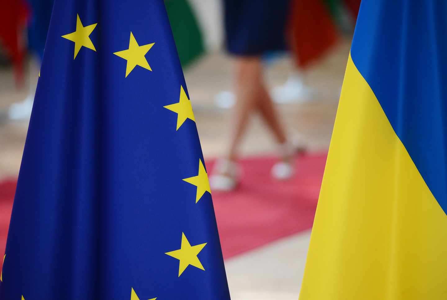 Флаги Европейского Союза и Украины. Фото &copy; РИА Новости/Алексей Витвицкий



